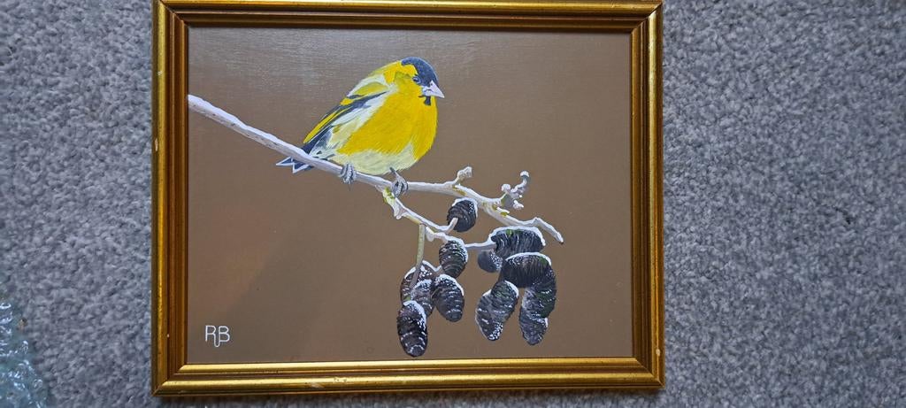 Sijsje (Carduelis spinus) - Acrylschilderij van Ron Brinkman, Ophalen of Verzenden