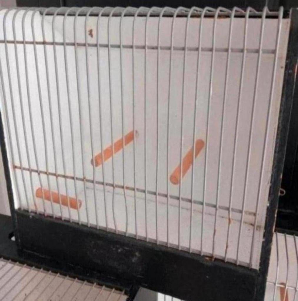 Show vogelkooi, Dieren en Toebehoren, Vogels | Hokken en Kooien, Ophalen of Verzenden, Hout, Vogelkooi