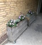 2 planten bakken op wieltjes, Ophalen, Zo goed als nieuw, Hout
