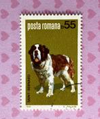 Roemenie gestempeld 203 => Hond - Sint Bernard, Verzenden, Gestempeld, Dier of Natuur