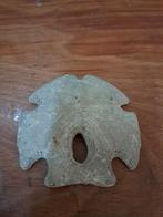 zee egel skelet zanddollar, Ophalen of Verzenden