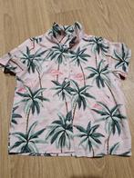 Blouse maat 110, Ophalen of Verzenden, Zo goed als nieuw, Jongen, Overhemd of Blouse