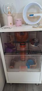 Nette Omlet hamsterkast, Ophalen, Gebruikt, Drinken en Voederen