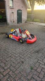 Birel schakel kart met 125cc pavesi blok, Ophalen, Zo goed als nieuw, Kart