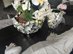 Unieke Schelpen Vazen Set, Huis en Inrichting, Woonaccessoires | Vazen, Overige materialen, Overige kleuren, Ophalen of Verzenden
