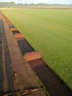 Graszoden aanleg,we lay grass Eindhoven Waalre Best Tilburg, Ophalen of Verzenden, Nieuw, 20 m² of meer