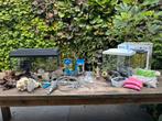 Aquarium met veel spullen, Dieren en Toebehoren, Vissen | Aquaria en Toebehoren, Ophalen, Gebruikt, Leeg aquarium