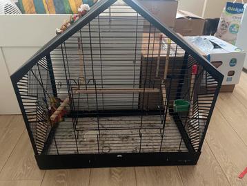 Vogelkooi huisvorm beschikbaar voor biedingen