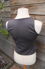 Vestje grijs Juffrouw Jansen Amsterdam mt L Vaste prijs, Maat 42/44 (L), Ophalen of Verzenden, Zo goed als nieuw, Grijs