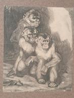 Cornelis Jan Mension - Groep Aapjes - Steendruk, Ophalen of Verzenden
