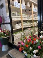 Duurzame verse tulpen direct vd kweker uit Wervershoof!, Ophalen, Nieuw, Binnen