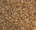 Mariadistelzaad 1kg -  In Voorraad - winkel en webshop, Dieren en Toebehoren, Verzenden, Nieuw, Eten en Drinken