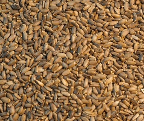 Mariadistelzaad 1kg -  In Voorraad - winkel en webshop, Dieren en Toebehoren, Vogels | Toebehoren, Nieuw, Eten en Drinken, Verzenden