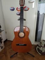 Stagg C542 gitaar met accessoires, Muziek en Instrumenten, Snaarinstrumenten | Gitaren | Akoestisch, Ophalen, Zo goed als nieuw