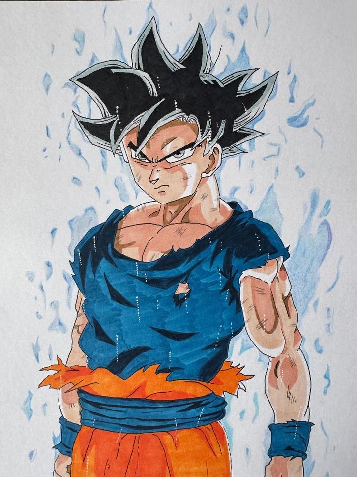 Goku, Antiek en Kunst, Kunst | Tekeningen en Foto's, Ophalen of Verzenden
