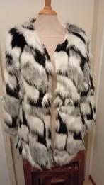 Imitatie Bont jasje., Ophalen, Zo goed als nieuw, Maat 34 (XS) of kleiner, Jasje