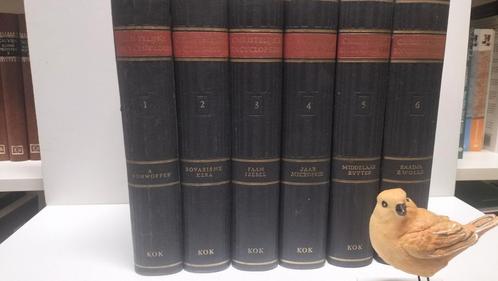 Grosheide, Prof. Dr. F.W. e.a.; Christelijke Encyclopedie (6, Boeken, Godsdienst en Theologie, Gelezen, Christendom | Protestants