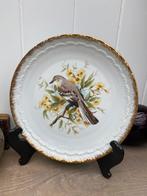 Mooi bord Limoges  porselein vogel, Ophalen of Verzenden