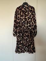 Leopard jurk Eksept Shoeby (XXL), Bruin, Verzenden, Maat 46/48 (XL) of groter, Eksept