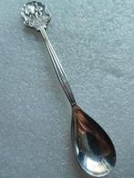 lepeltje Foto AA Raalte, Ophalen of Verzenden