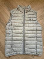 Vanguard bodywarmer maat S, Ophalen of Verzenden, Zo goed als nieuw