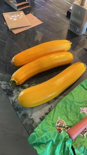 Biologische Courgettes - 3 Soorten beschikbaar voor biedingen