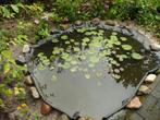 waterlelies, Tuin en Terras, Ophalen, Nieuw, Vijverpomp