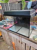 Juwel 60L, Ophalen, Gebruikt, Leeg aquarium