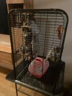 Vogelkooi, Dieren en Toebehoren, Ophalen, Gebruikt, Metaal, Vogelkooi