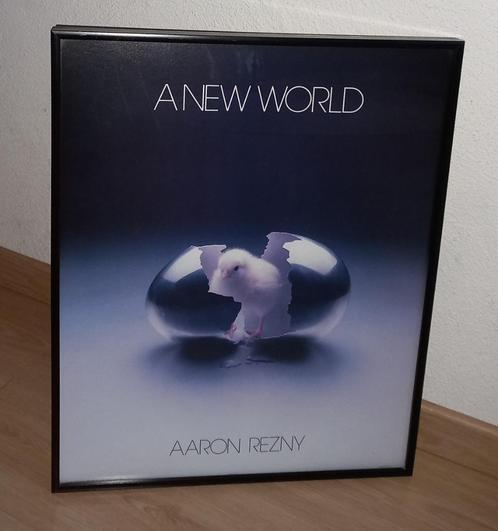 "A New World" door Aaron Renzy 51 x 41 cm (17), Huis en Inrichting, Woonaccessoires | Schilderijen, Tekeningen en Foto's, Zo goed als nieuw