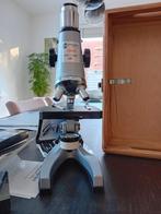 Microscoop compleet met kist en preparaten, Zo goed als nieuw, 1000x of meer, Biologische microscoop, Ophalen