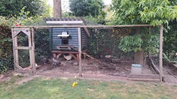 Kippenhok (geïsoleerd met chickenguard) en ren beschikbaar voor biedingen