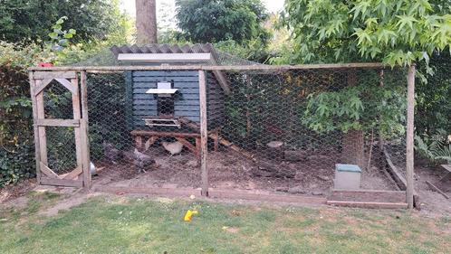Kippenhok MOET NU WEG (geïsoleerd met chickenguard) en ren, Dieren en Toebehoren, Pluimvee | Toebehoren, Zo goed als nieuw, Kippenhok of Kippenren