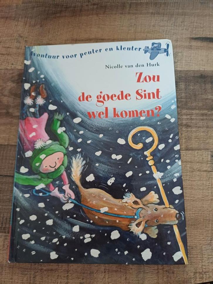 Nicolle van den Hurk - Zou de goede Sint wel komen?, Boeken, Kinderboeken | Jeugd | onder 10 jaar, Zo goed als nieuw, Fictie algemeen
