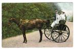 7839 Paard  met sjees en 2 personen, Ophalen of Verzenden, Ongelopen