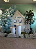NIJNTJE HUIS BACKDROP + NIJNTJE CUT OUT, Hobby en Vrije tijd, Feestartikelen | Verhuur, Ophalen, Zo goed als nieuw