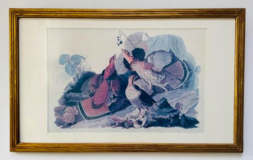Ruffed Grouse Birds - John James Audubon - Birds of America, Antiek en Kunst, Kunst | Litho's en Zeefdrukken, Ophalen of Verzenden