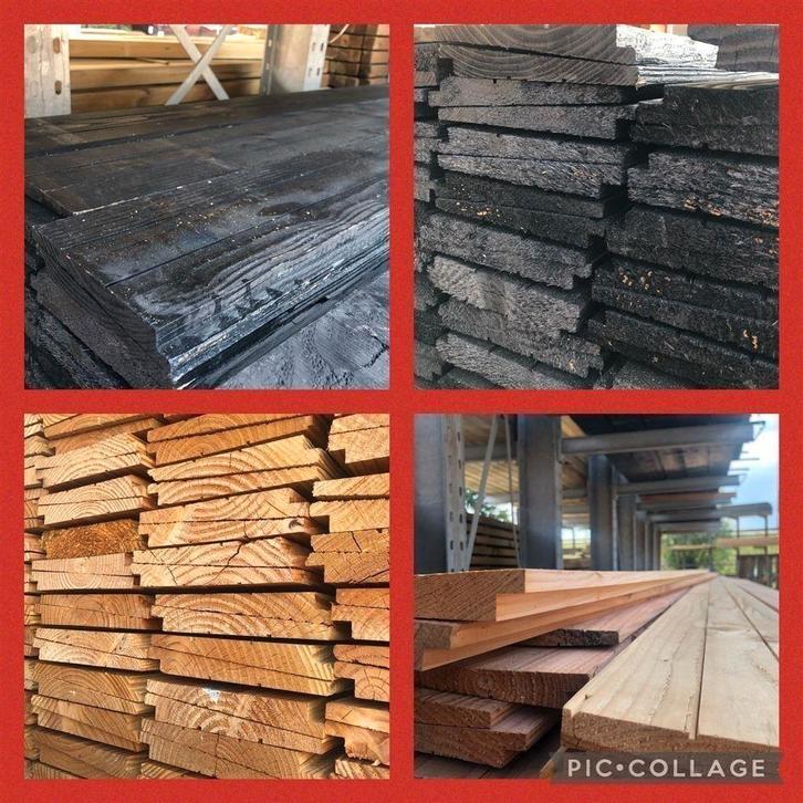 DOUGLAS ZWEEDS RABAT, Tuin en Terras, Planten | Tuinplanten, Overige soorten, Halfschaduw, Ophalen of Verzenden