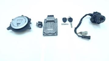 SLOTENSET Ducati MONSTER 796 2009-2014 (01-2009/12-2014) beschikbaar voor biedingen