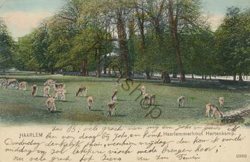 Haarlem - Haarlemmerhout Hertenkamp [KRST005-3673 beschikbaar voor biedingen