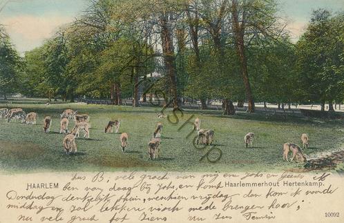 Haarlem - Haarlemmerhout Hertenkamp [KRST005-3673, Verzamelen, Ansichtkaarten | Nederland, Gelopen, Noord-Holland, Voor 1920, Verzenden