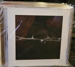 Amenra - De Doorn CD Nieuw, Ophalen, Nieuw in verpakking