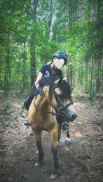 Verzorgpony gezocht omgeving Noord Oost Utrecht, Diensten en Vakmensen, Dieren | Paarden | Verzorging, Oppas en Les, Ruiter of Bijrijder