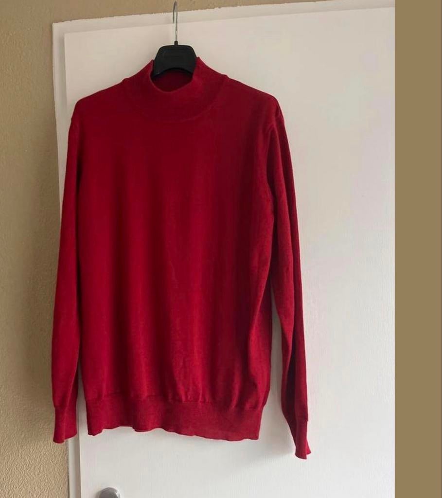 Fabiani Trui Maat 40/42 - Zo Goed Als Nieuw, Kleding | Dames, Ophalen of Verzenden, Zo goed als nieuw, Maat 42/44 (L), Rood