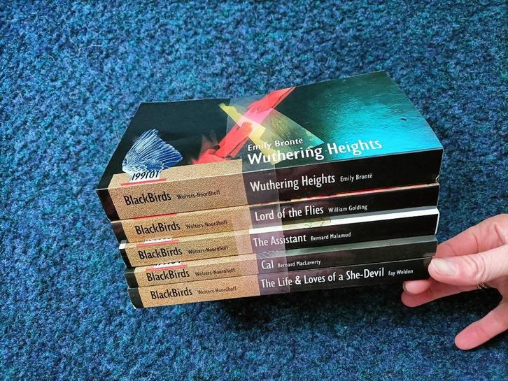 5 Engelse boeken. Al een aantal jaar oud, maar nog ongelezen, Boeken, Partijen en Verzamelingen, Zo goed als nieuw, School, Studie en Wetenschap