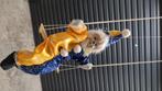 Clown op schommel, Ophalen of Verzenden, Gebruikt, Pop