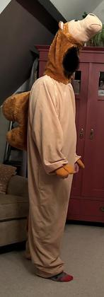 Carnavalspak kameel, Ophalen of Verzenden, Gedragen, Maat 38/40 (M), Bruin