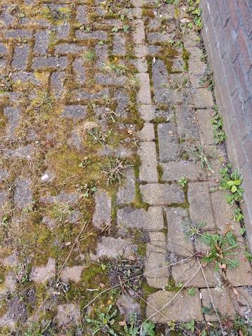 Klinkers gratis ongeveer 35 m2 zelf uithalen beschikbaar voor biedingen