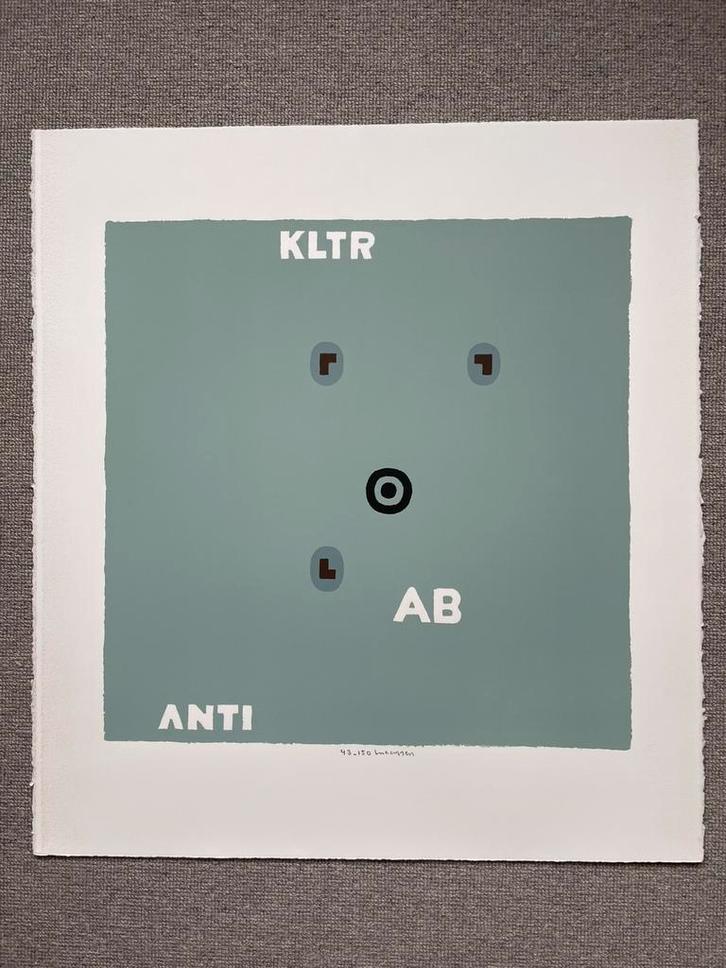 Reinier Lucassen litho, Antiek en Kunst, Kunst | Litho's en Zeefdrukken, Ophalen of Verzenden