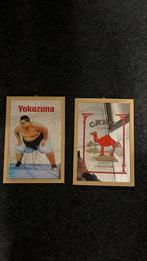 Spiegel decoratie, Ophalen, Rechthoekig, Minder dan 50 cm, Minder dan 100 cm